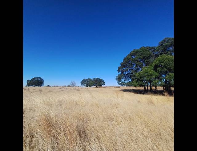 8.50HA VACANT LAND FOR SALE IN WITKOP
